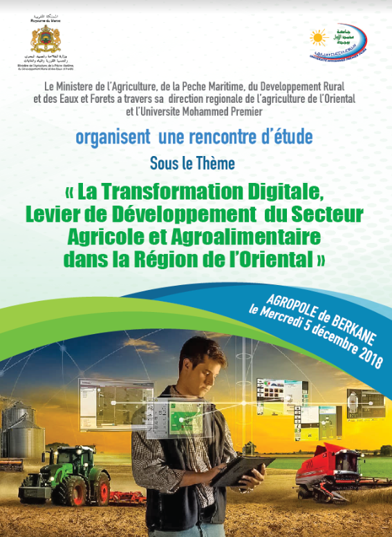 Digital transformation as a lever for development of the agricultural and agri-food sector in the eastern region