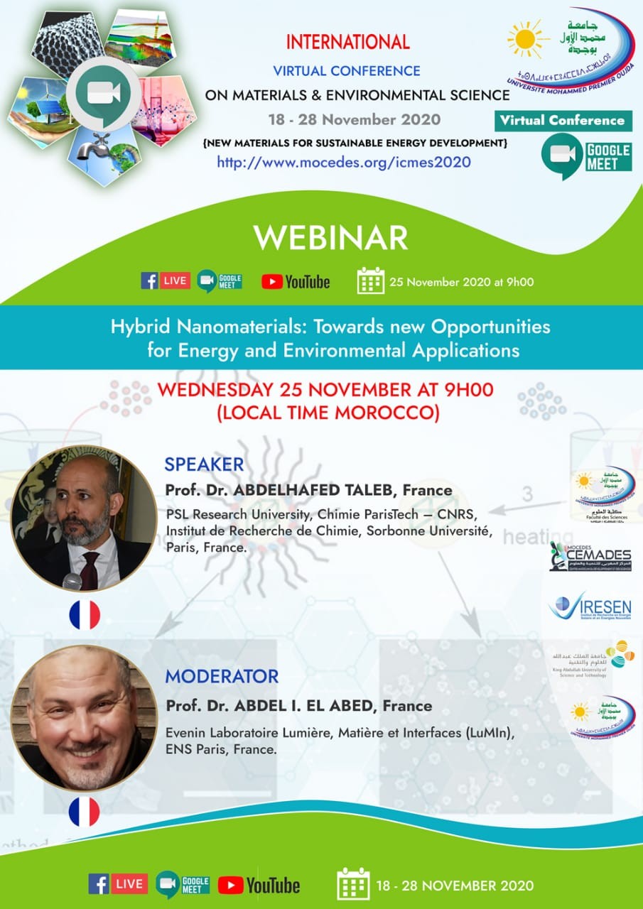 Hybrid Nanomaterials: Towards new Opportunities for Energy and Environmental Applications